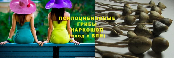 спиды Киреевск