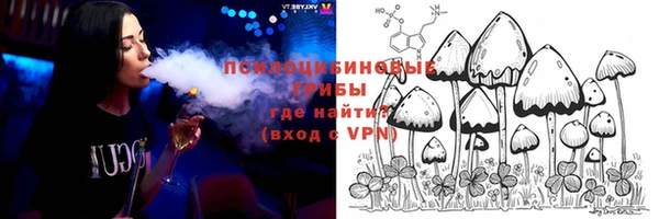 спиды Киреевск