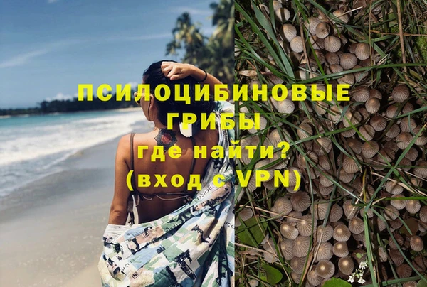 спиды Киреевск