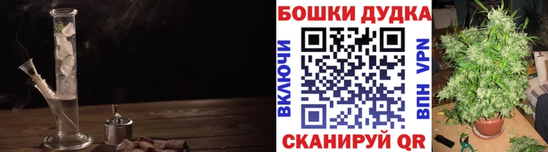 Канабис гибрид  Купить закладки  Каменка 